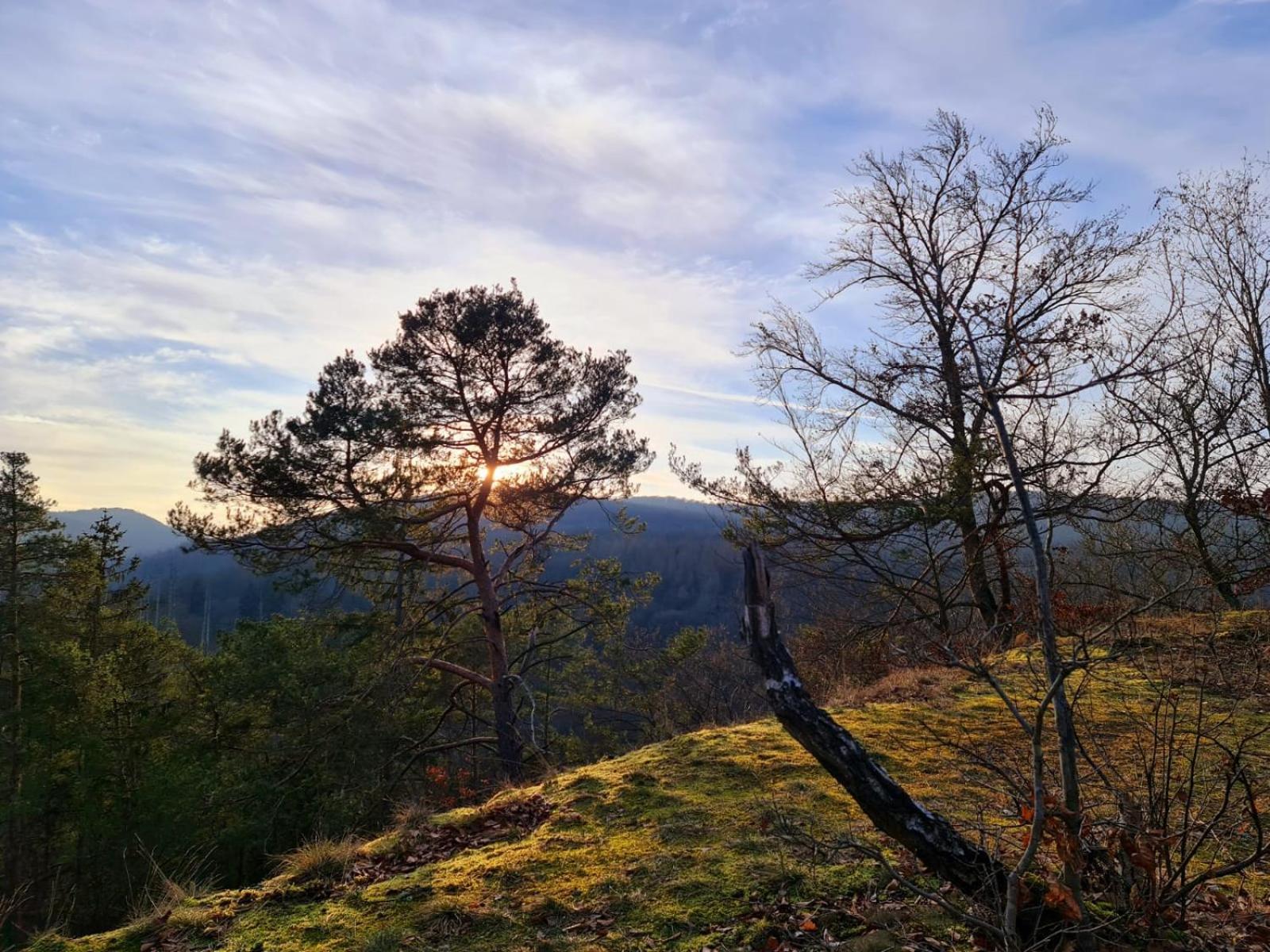 Ferienhaus Schoene Aussicht Ferienwohnung Gelb Hemfurth-Edersee Eksteriør billede